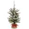 2ft. Pre-Lit Snowy Morgan Spruce Artificial Christmas Tree, Warm White LED Lights